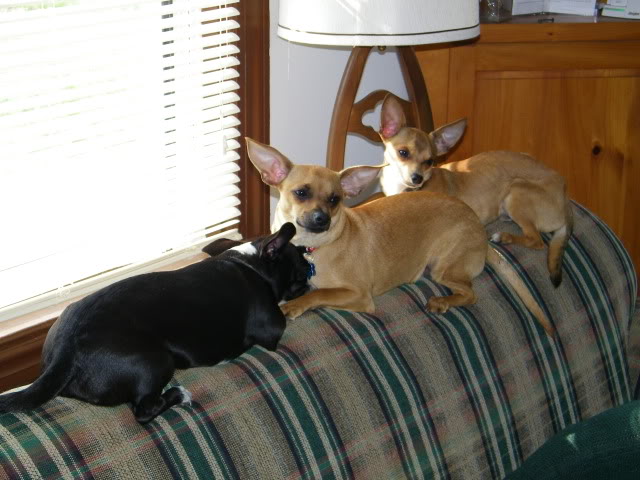 100_0072.jpg