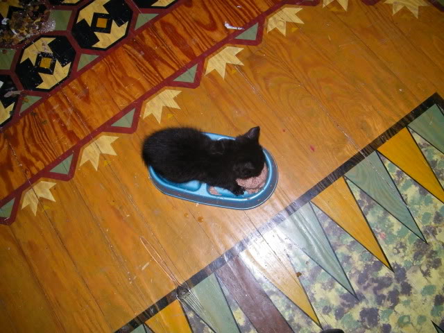 100_1500.jpg