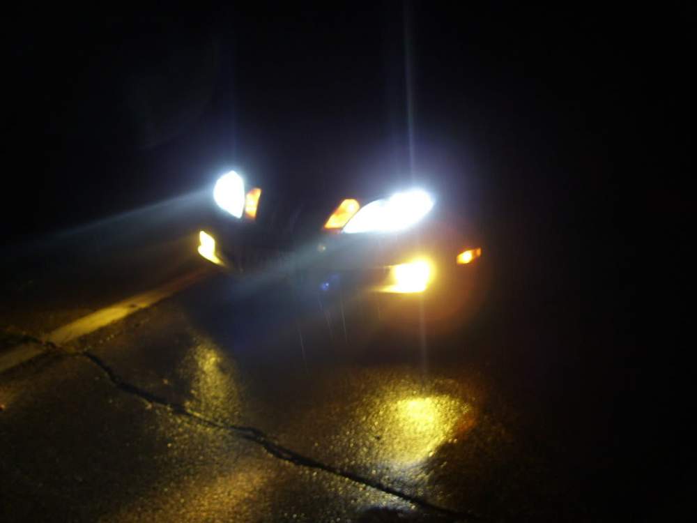 100_3690.jpg