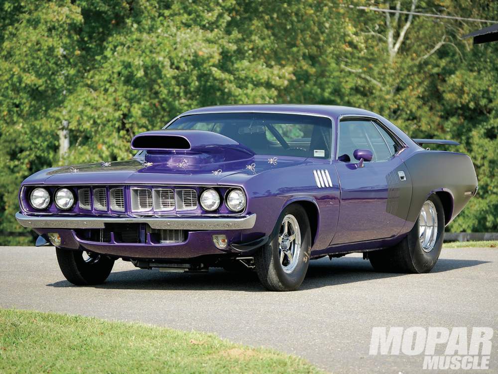 1305-1971-cuda-the-fringe-main.jpg