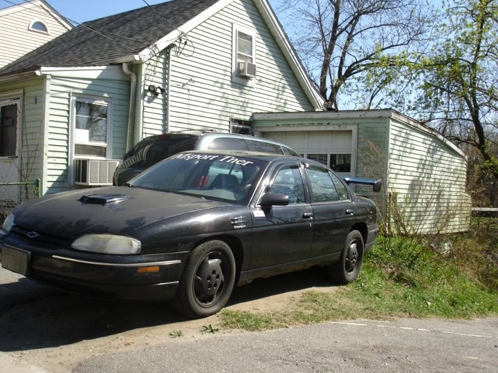 15724860_large.jpg