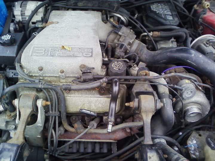 166220_1709126523544_1099509277_1902161_355745_n.jpg