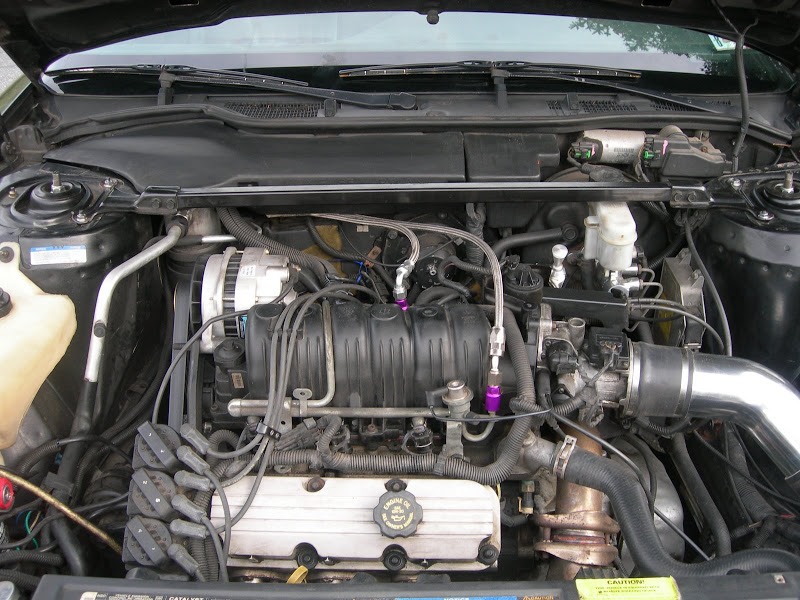 DSCN0981.JPG