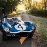 1955 Jaguar D-Type