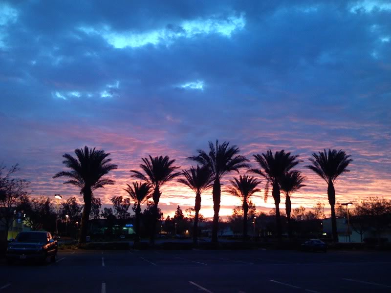 1stsunrise.jpg