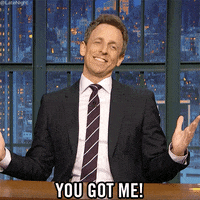 seth meyers GIF by Late Night with Seth Meyers