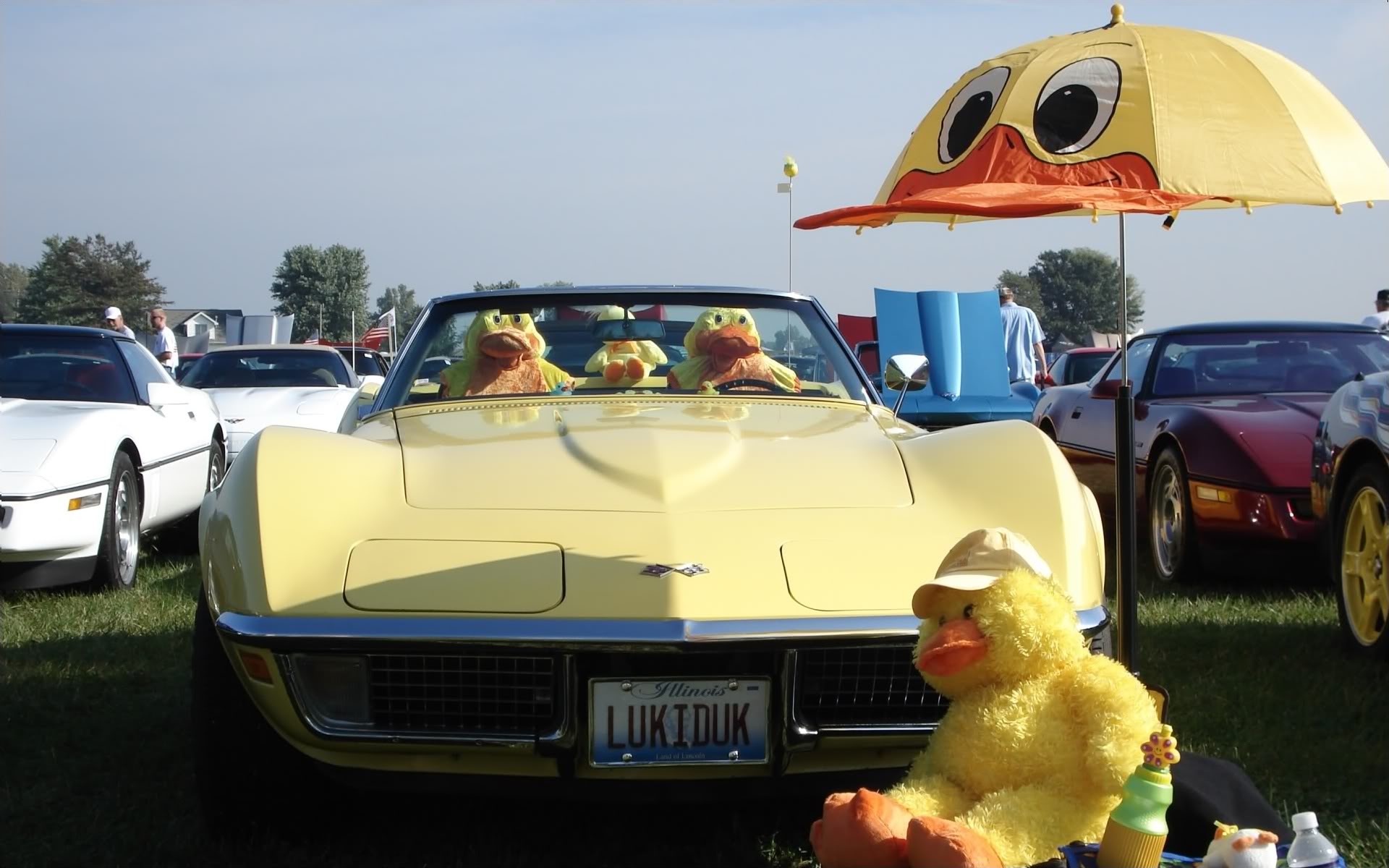 2006FunFestYellowLuckyDuckVette.jpg