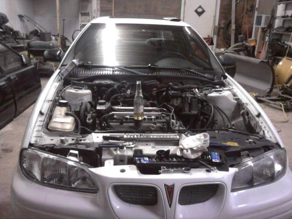 2010-11-27182829.jpg
