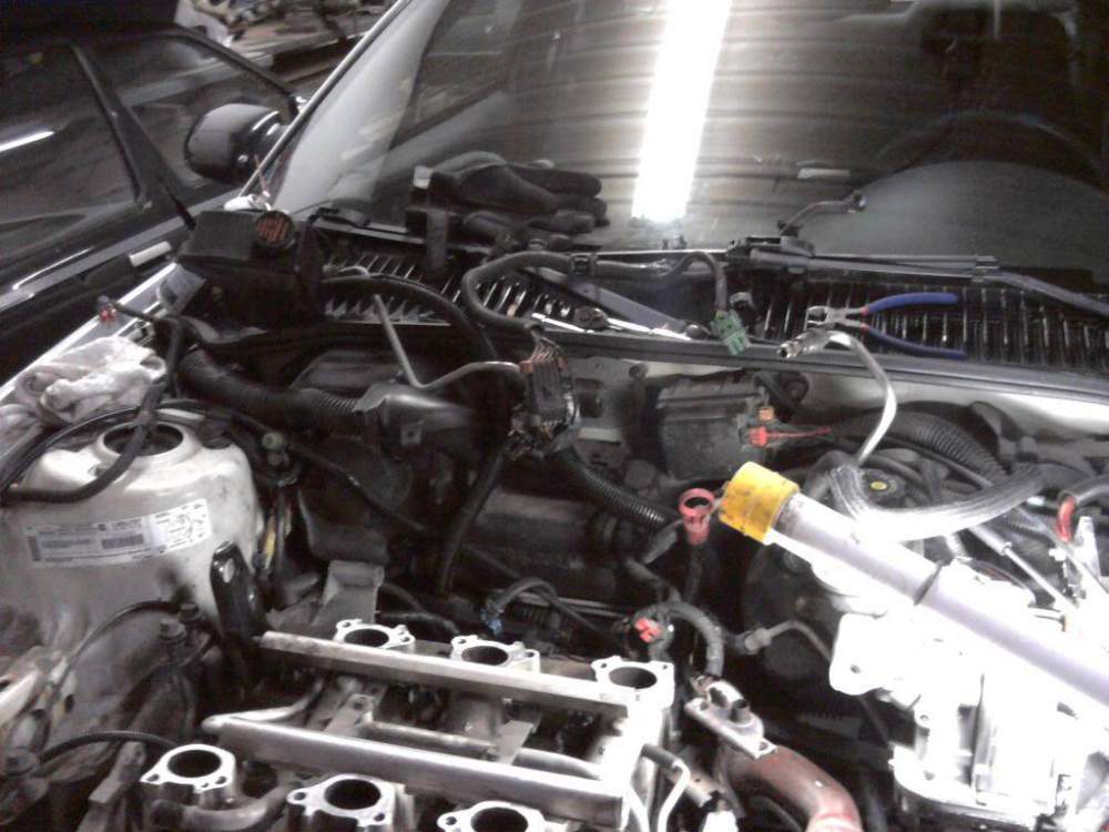2010-11-27194607.jpg