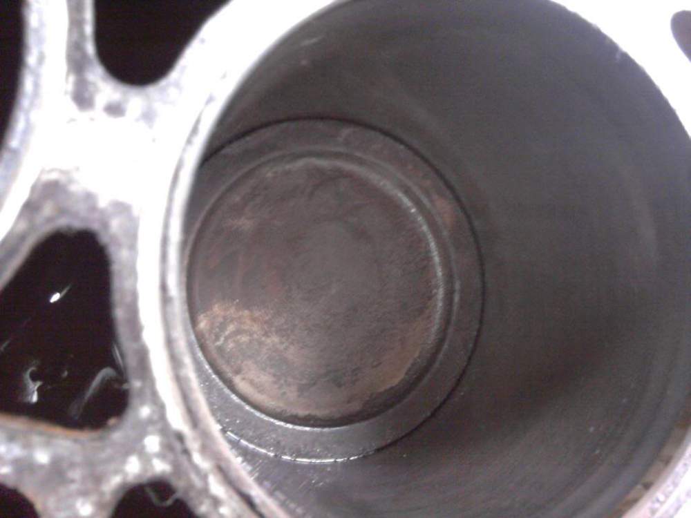 2010-11-27211333.jpg