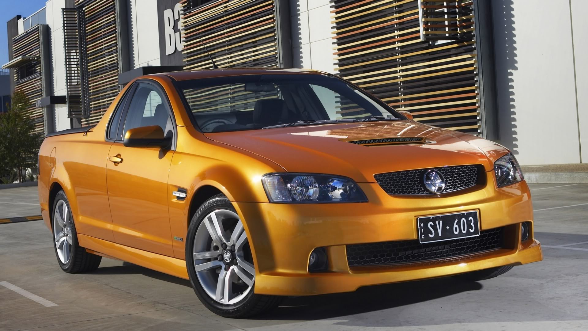 2010GoldHoldenSS-VUte.jpg