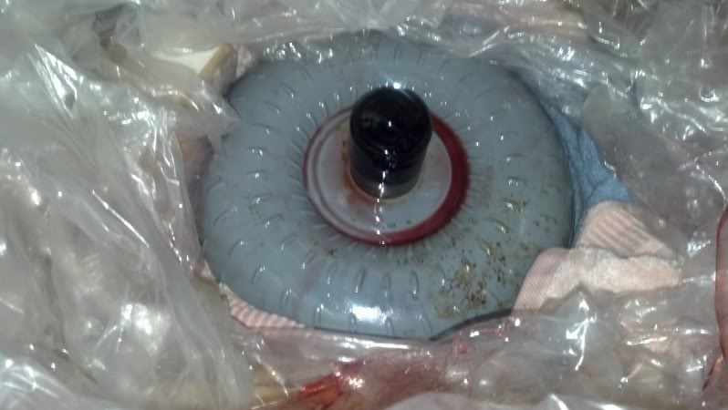 2012-08-29_18-33-28_583.jpg