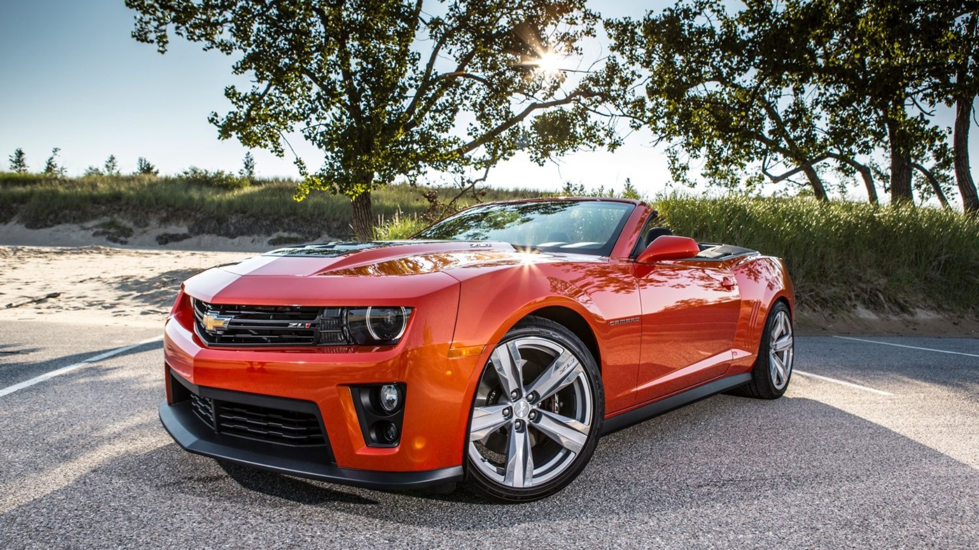 2013ChevyCamaroZL1Vert.jpg