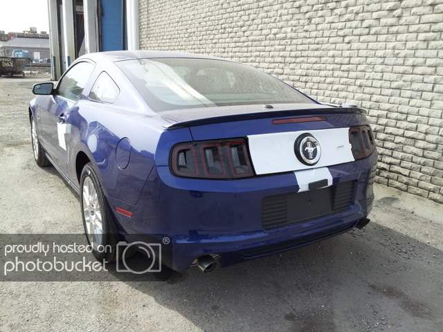 2013Mustang1.jpg