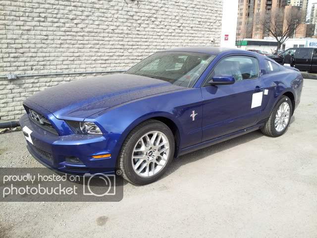 2013Mustang2.jpg