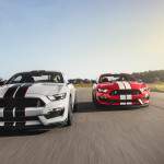 2016 Ford Mustang Shelby GT350R and 2016 Ford Mustang Shelby GT350