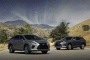 2020 Lexus RX