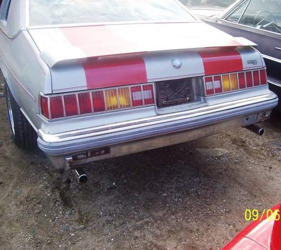 25632690019_large.jpg