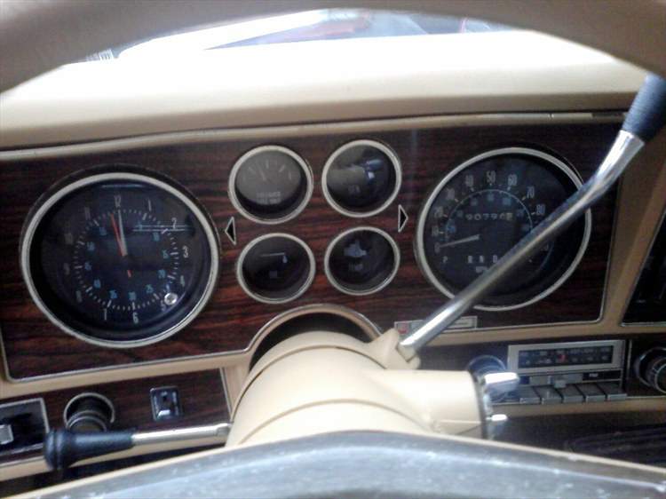 25632690094_large.jpg