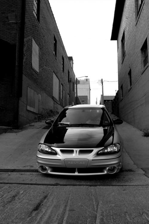 26593940139_large.jpg