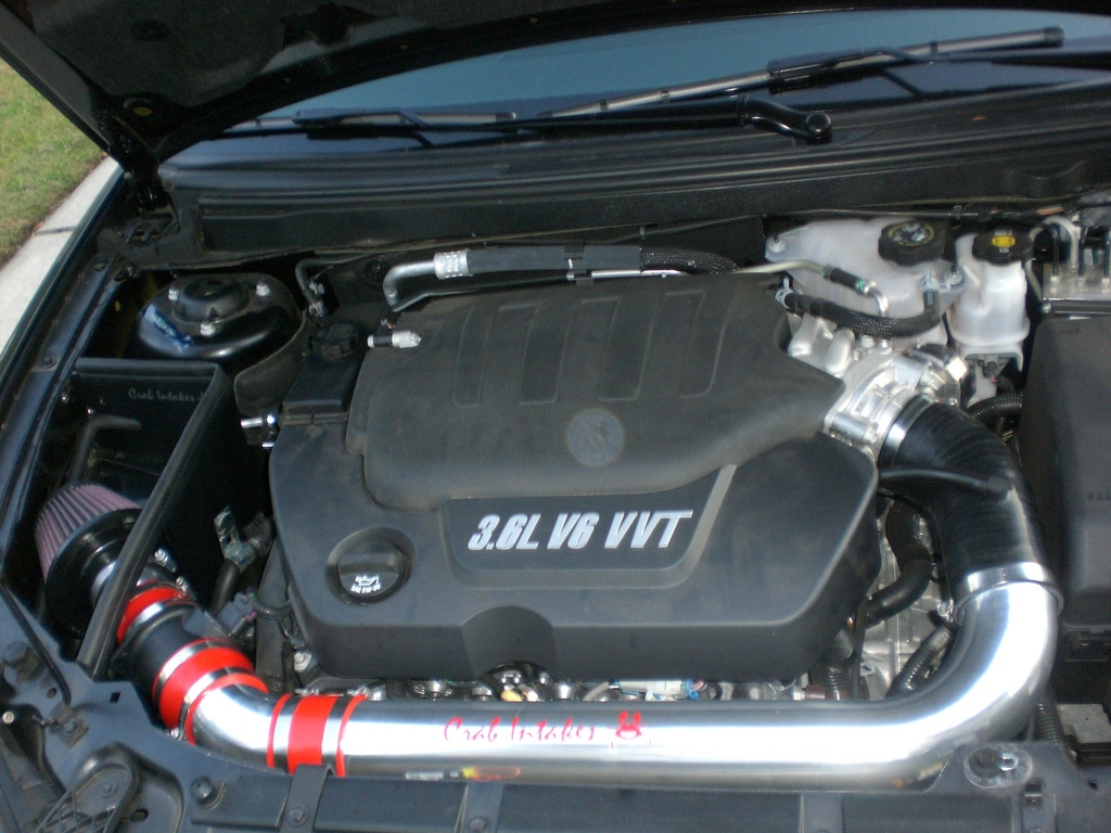 31070550017_large.jpg