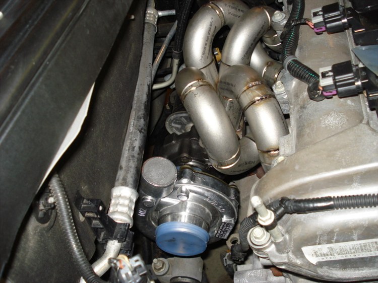 31264450037_large.jpg