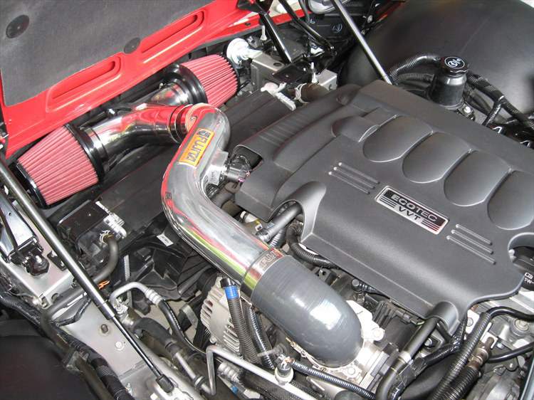 31551110110_large.jpg