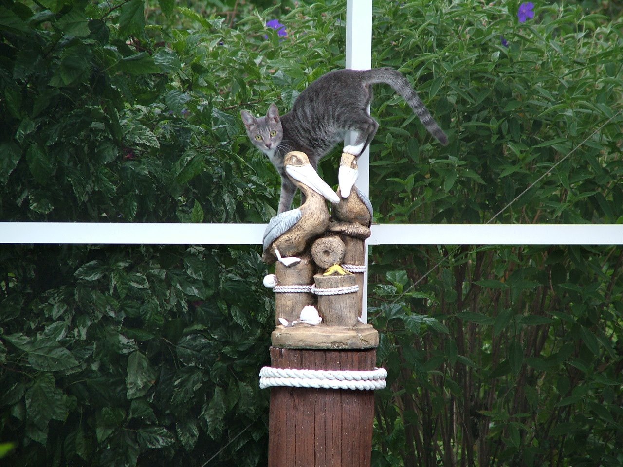 DSCF0358.JPG