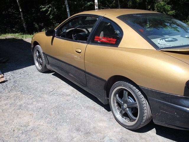 33067220538_large.jpg