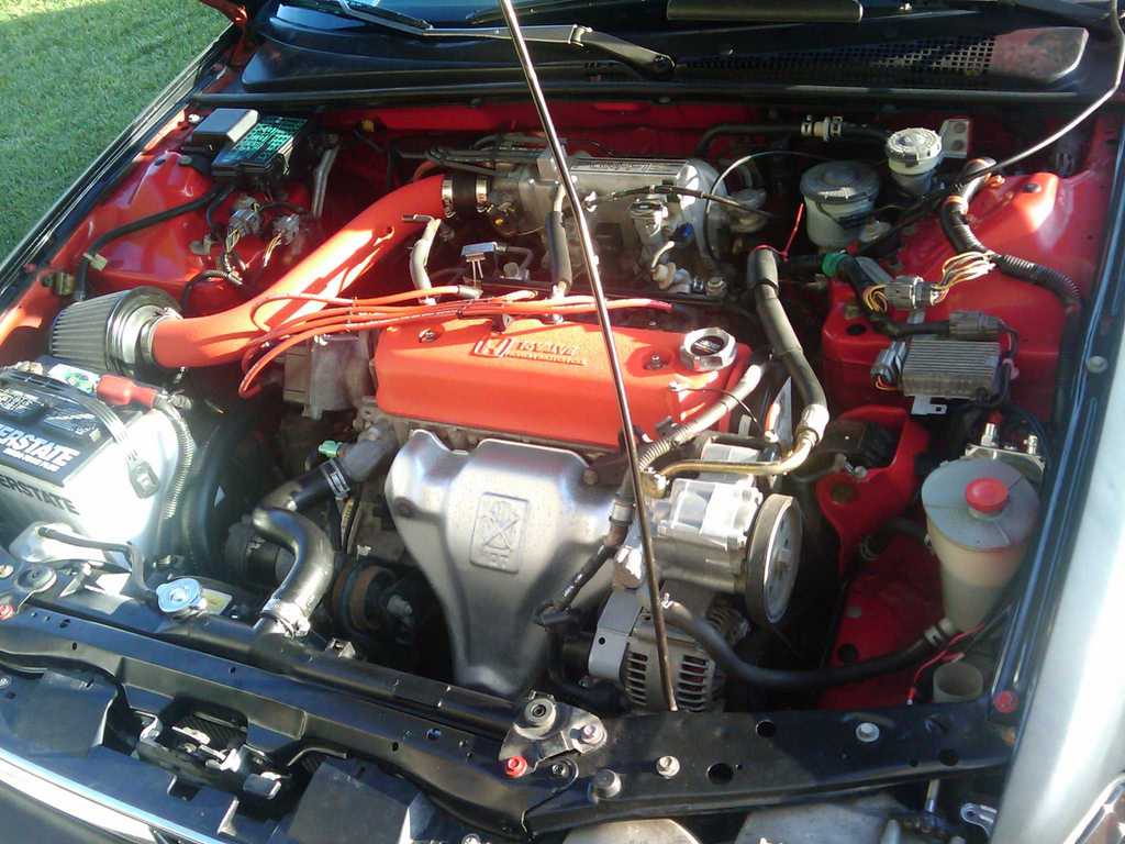 33540570010_large.jpg