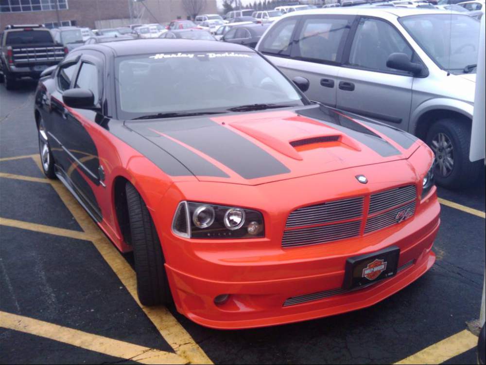 33540570087_large.jpg