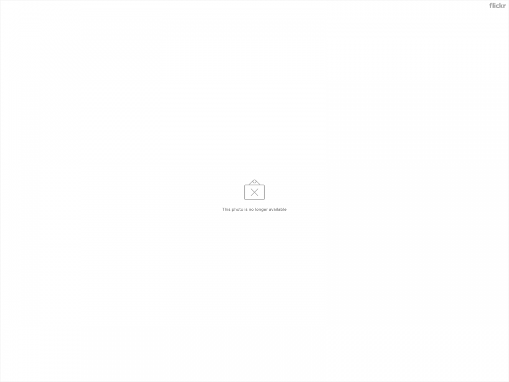 34327334432_0e92912bfd_h.jpg