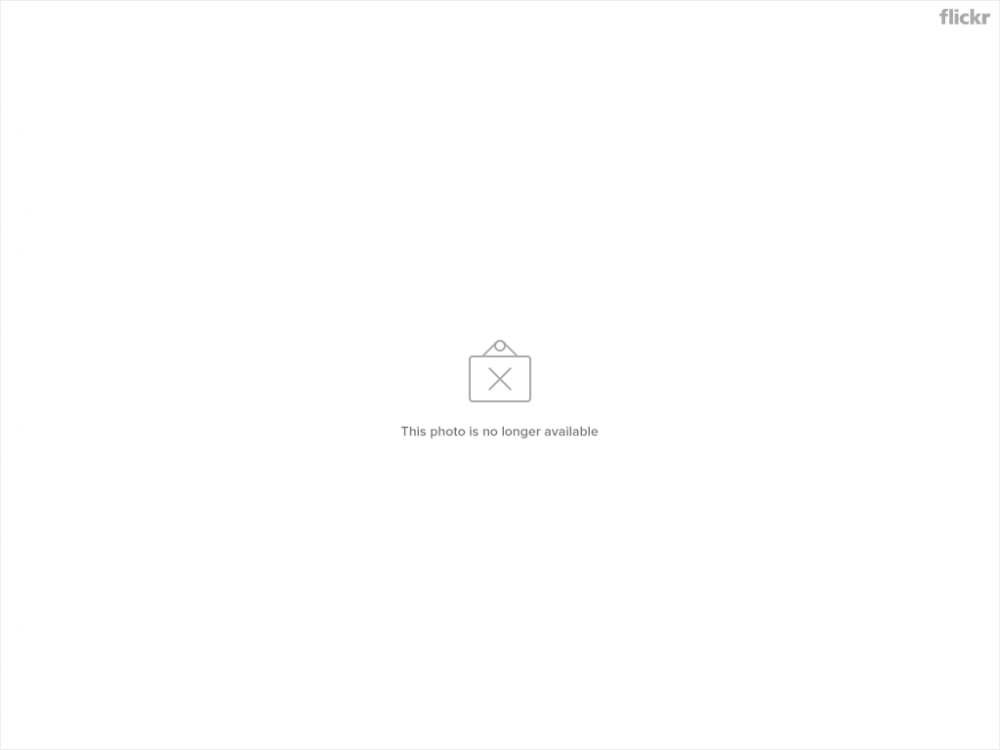 35553175812_ca81d7d251_b.jpg