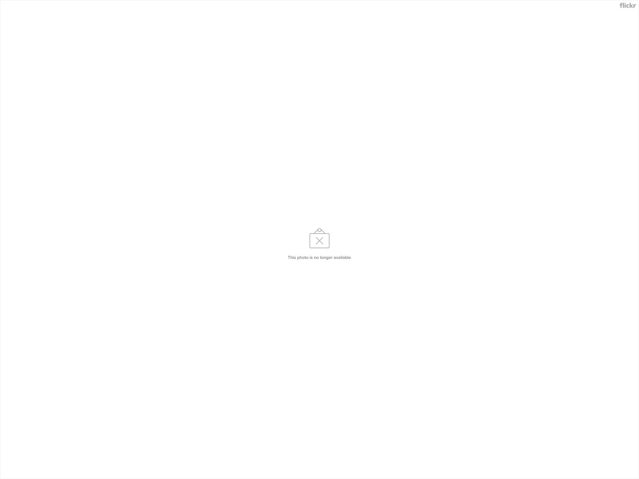 37144995174_448804e502_k.jpg