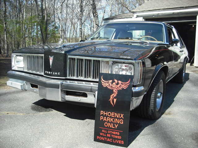 40390164.jpg