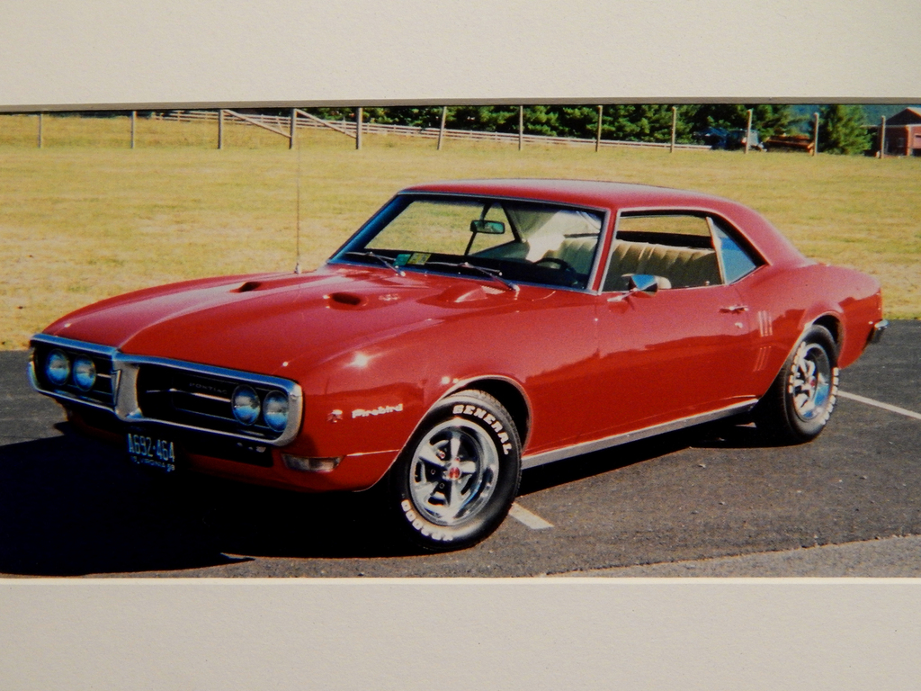 Firebird%20003_zpsmbhm3xe6.jpg