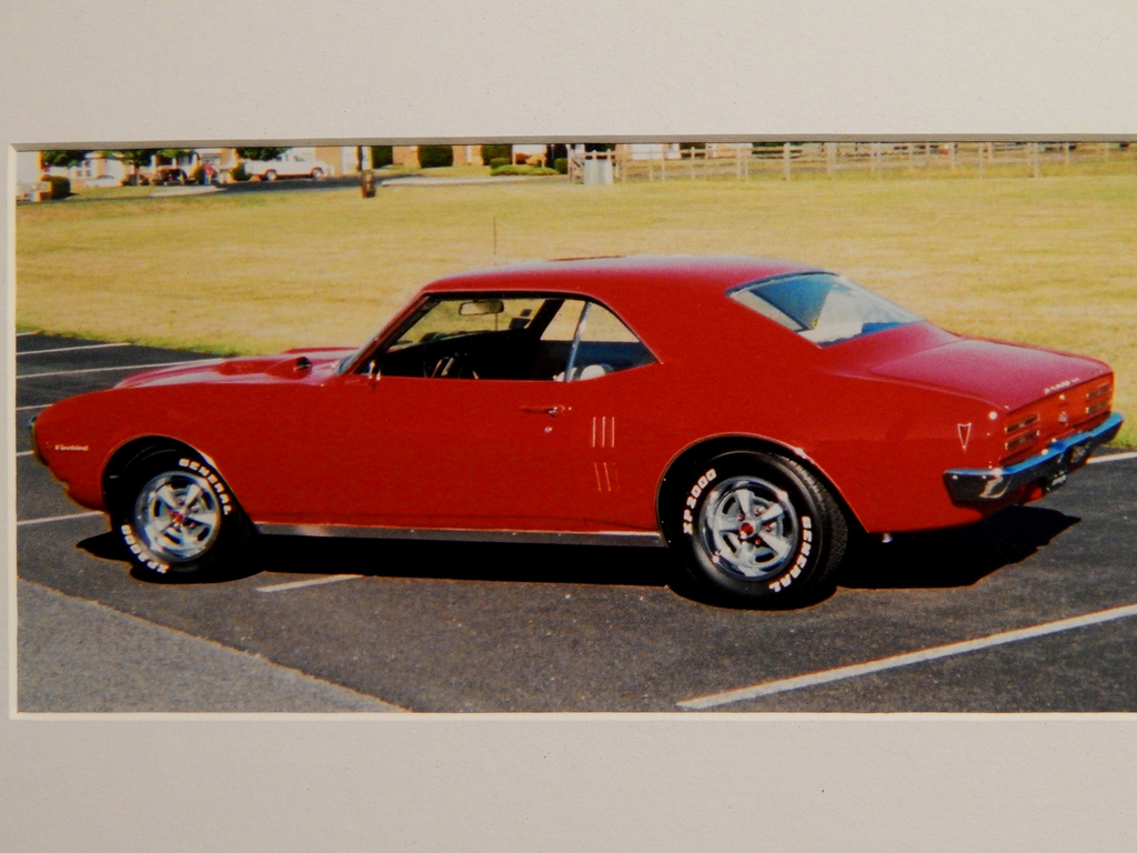 Firebird%20002_zps46wdp4sx.jpg