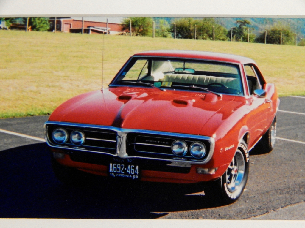 Firebird%20005_zpsiqnsaqtq.jpg