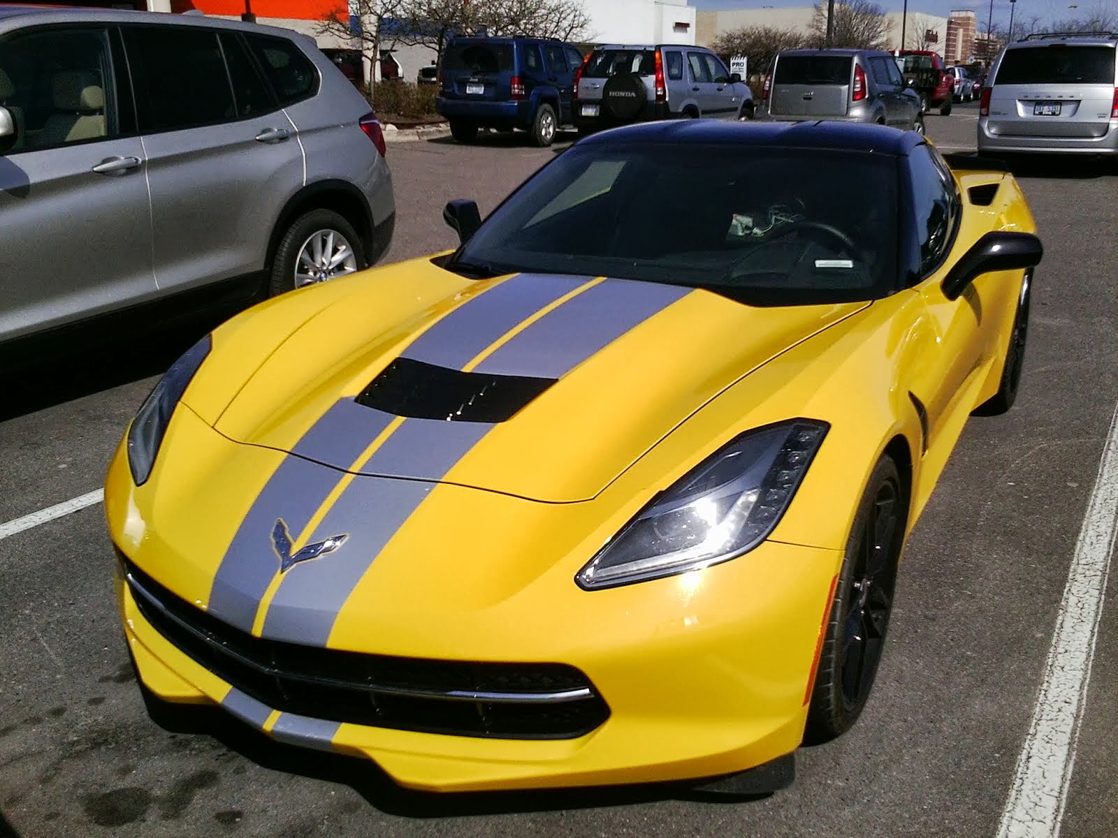 14+stingray+front-733417.jpg