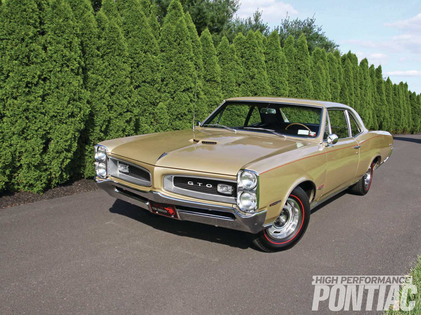 hppp-1304-01-o+1966-pontiac-GTO+martiniq