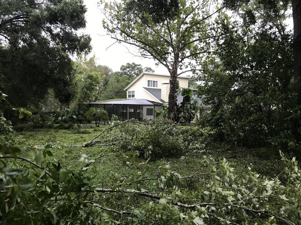 irma%20after_zpspc6r27vh.jpg