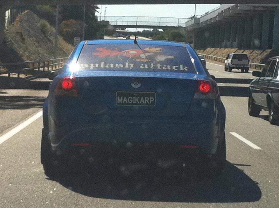 6ZTEt.jpg