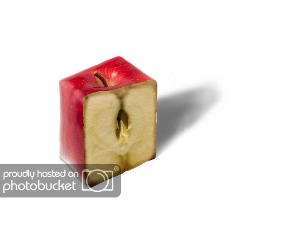 SquareFruitcopy.jpg?t=1287697690