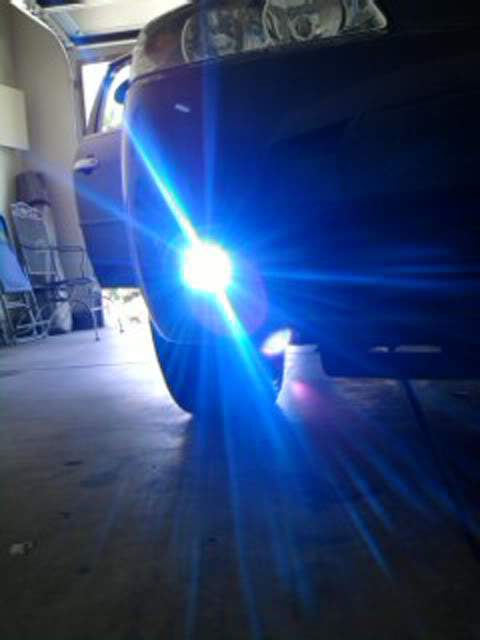 IMAG0484.jpg?t=1270522129