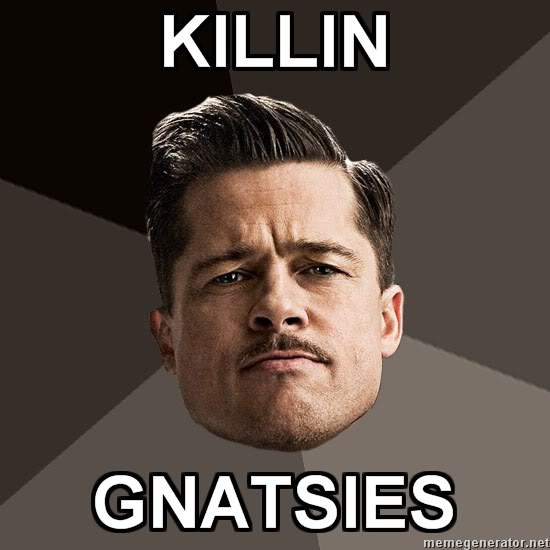 Aldo-Raine-KILLIN-GNATSIES.jpg