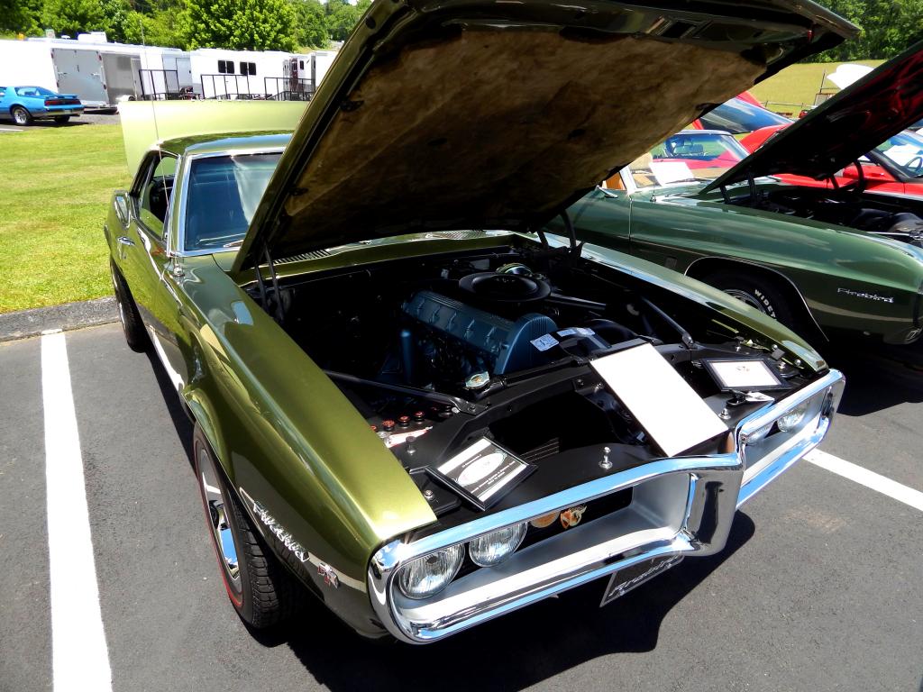 BB6_1_14045_zpsdfc79c10.jpg