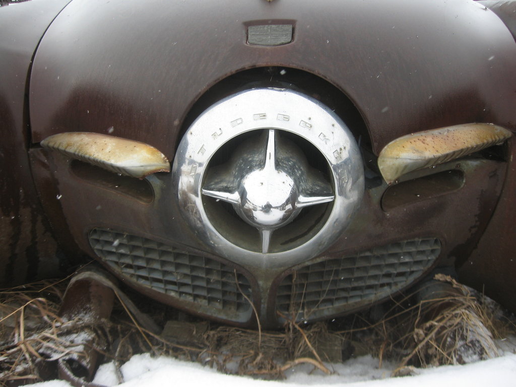 Bullit_Nose_by_QuanticChaos1000.jpg