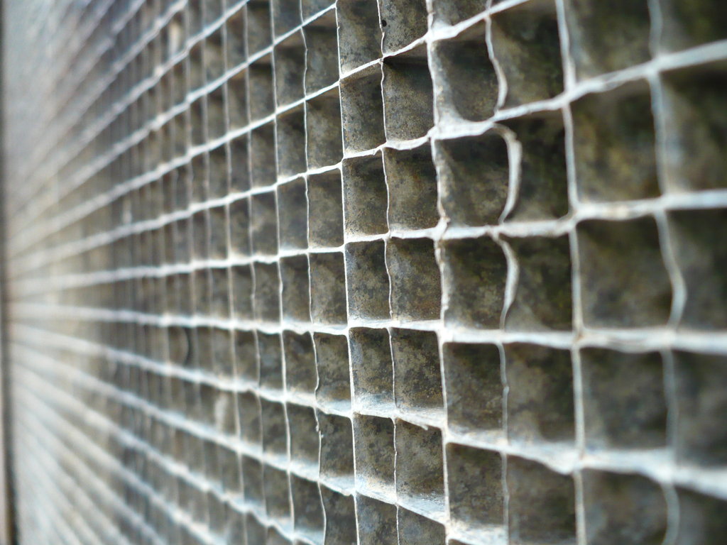 Cells_by_QuanticChaos1000.jpg