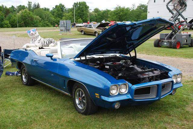 CopyofGto12010_zps258a65b8.jpg