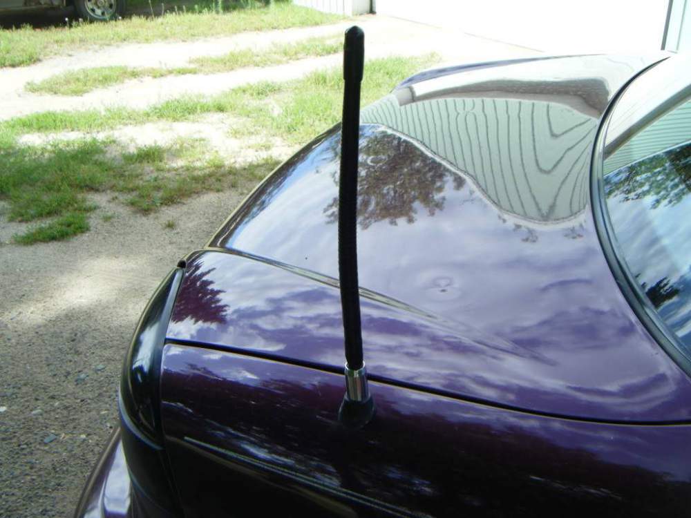 DSCF2001.jpg